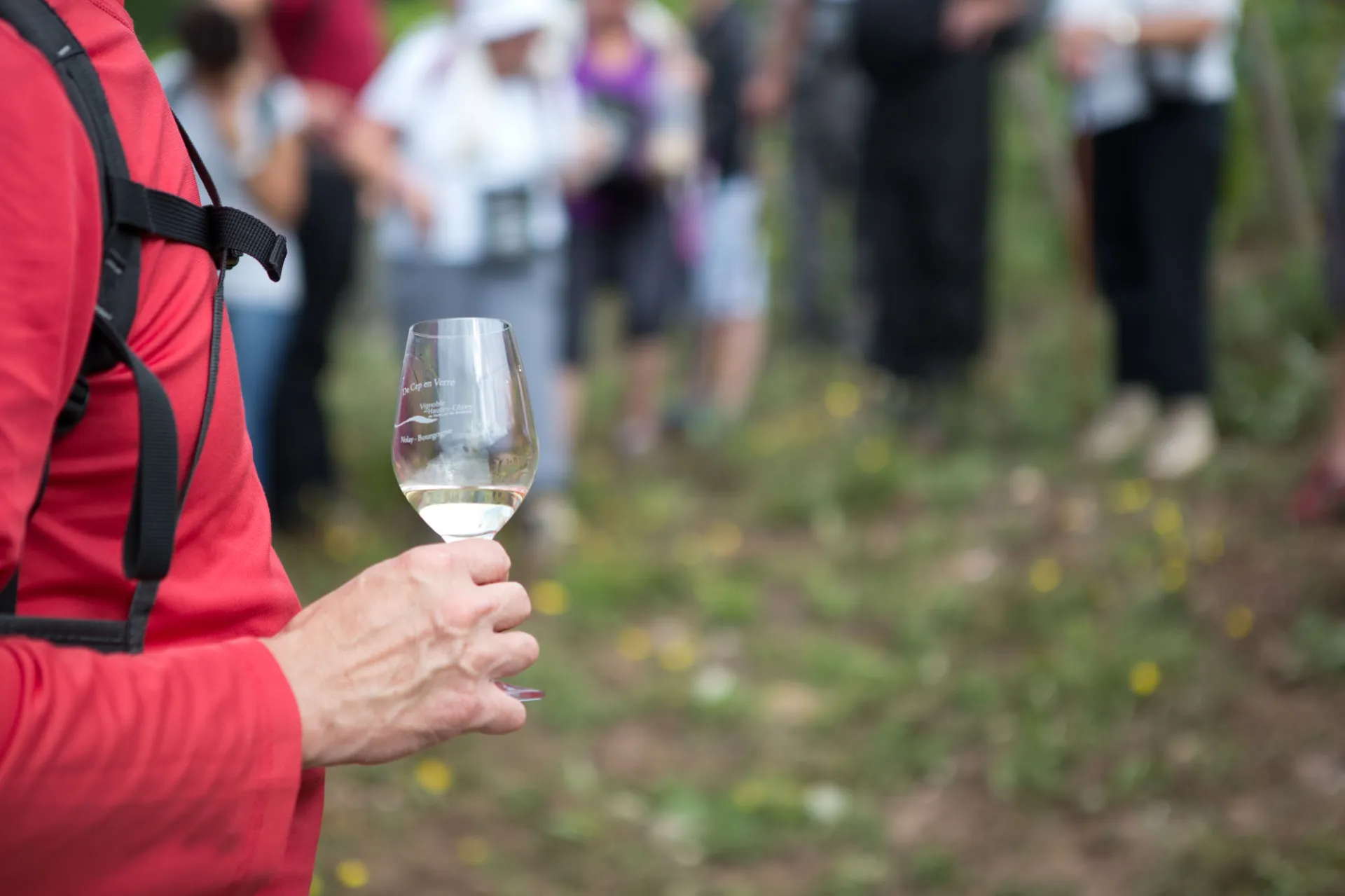 Déguster du vin à la saint vincent tournante