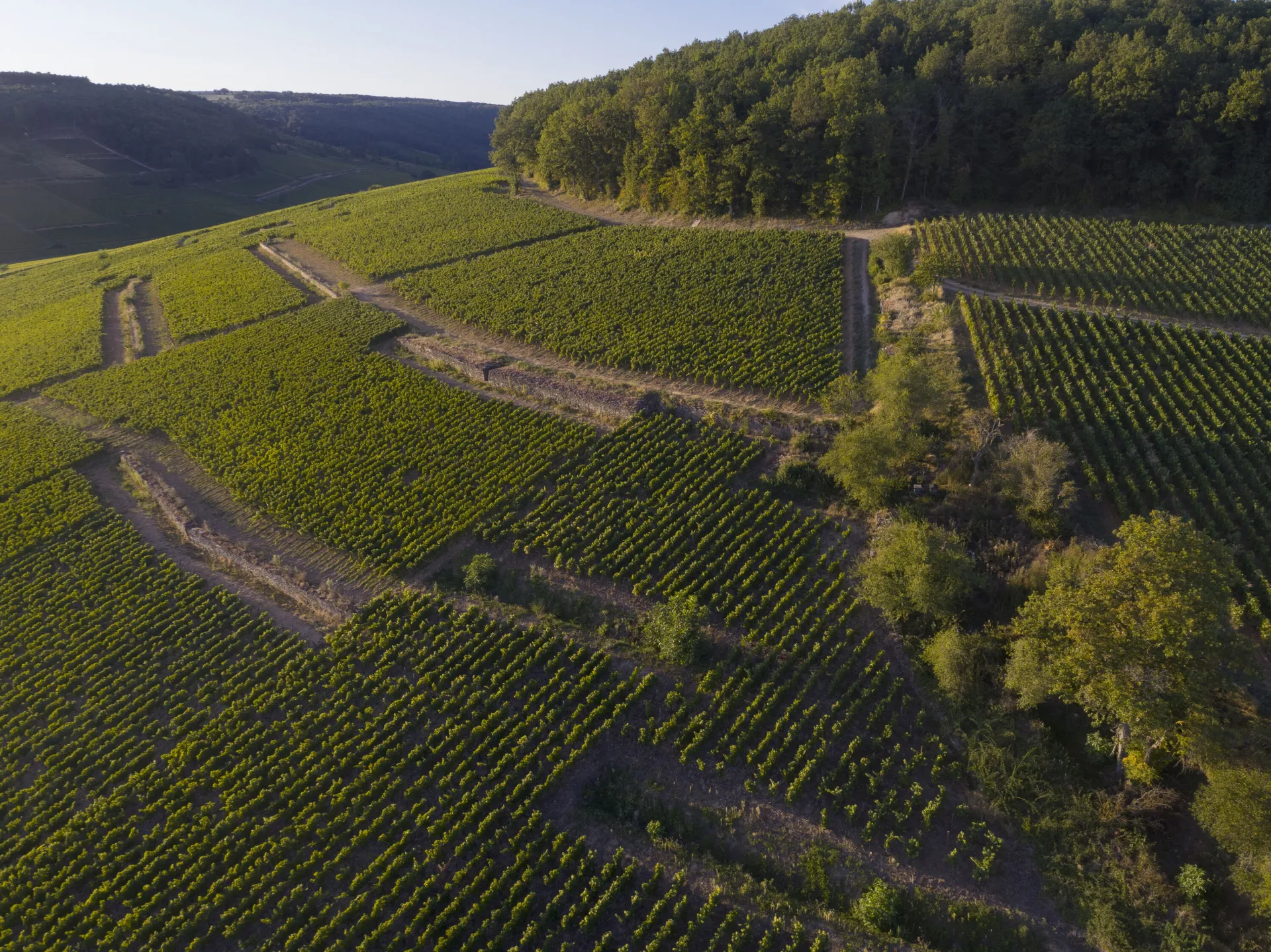 côtes de beaune et hautes côtes de beaune