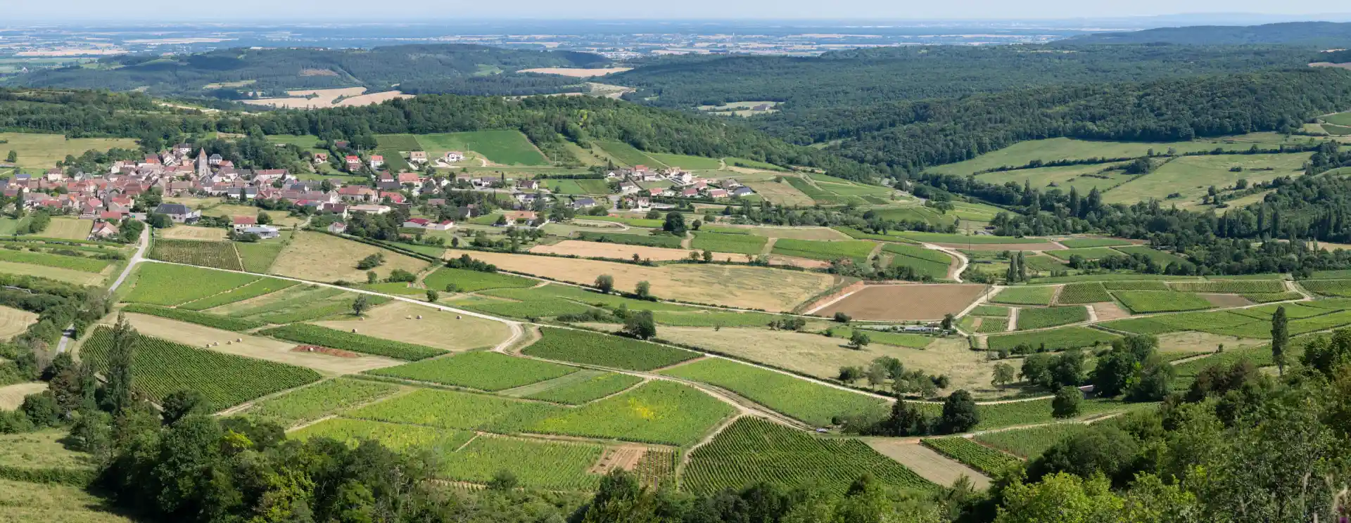 Vignoble Côte de Beaune