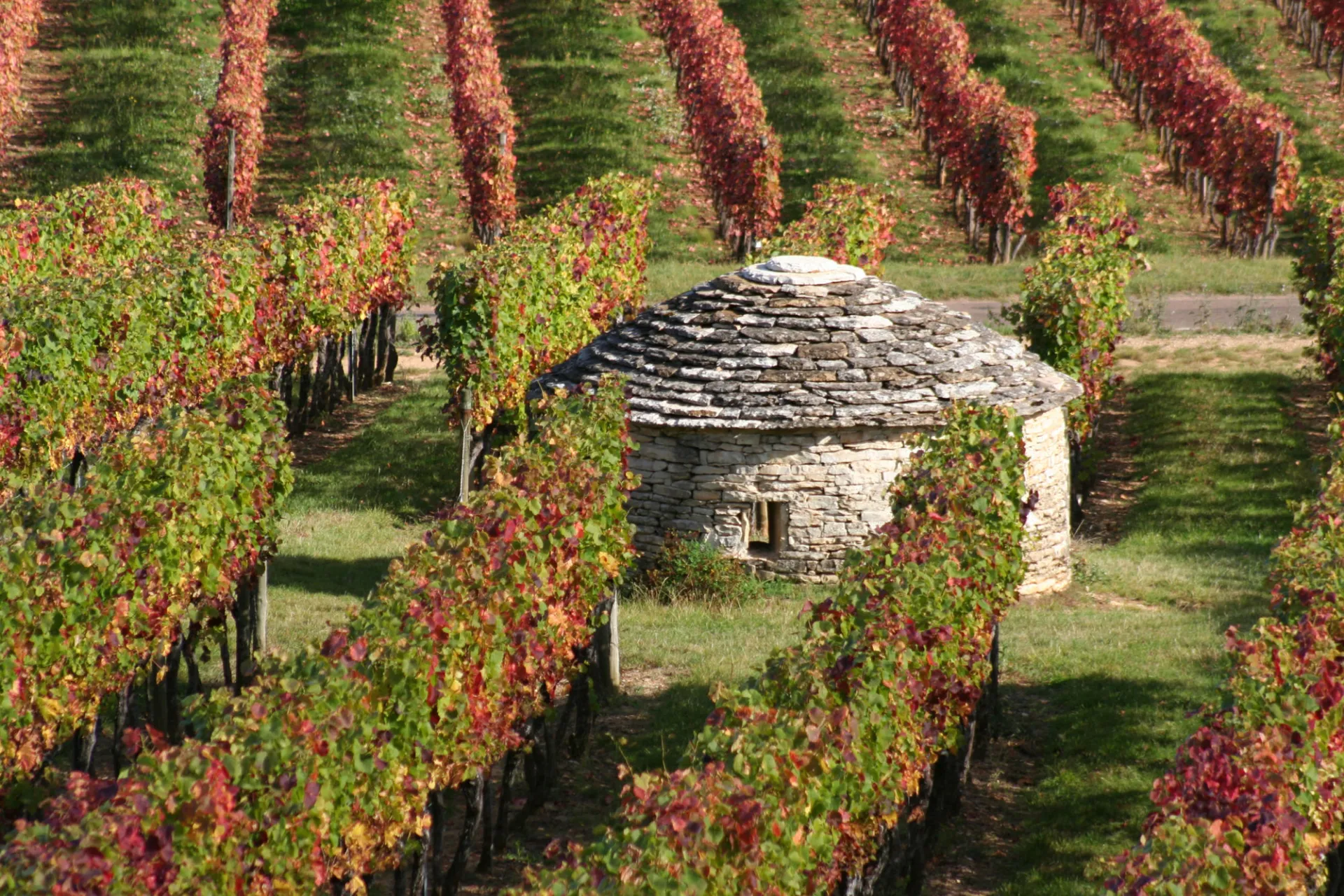 Paysage des Côtes de Nuits